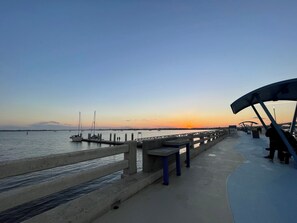 Property grounds - Close to Attractions but far enough from the downtown traffic (Saint Augustine)