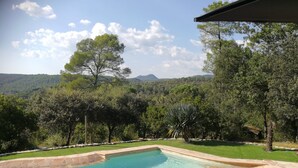 A swimming pool with a stone border, surrounded by lush greenery and trees, with a view of distant mountains.