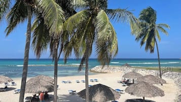 Quầy bar trên bãi biển