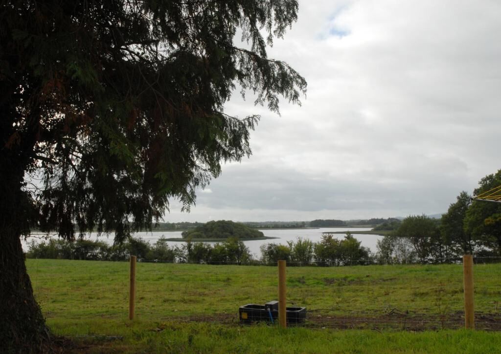 A grassy field with a wooden fence, a tree, and a body of water in the background.