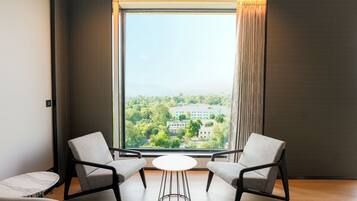 Suite – president | Utsikt fra rommet