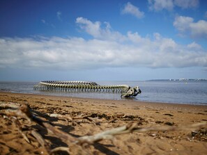 Nära stranden