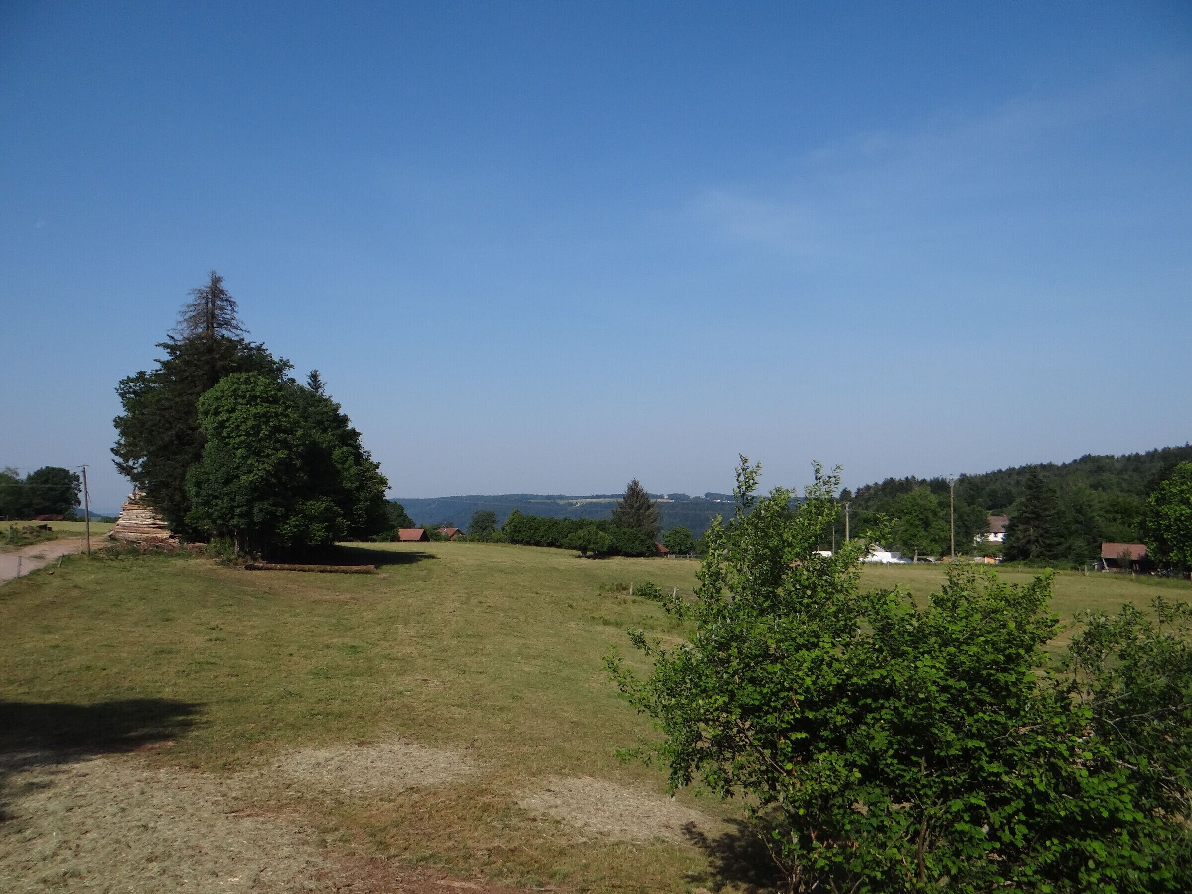 A rural landscape with a large tree, a grassy field, and a few scattered buildings in the distance.