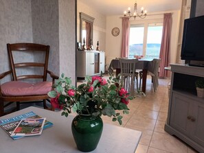 TV - Detached house by pond - 3 bedrooms, pets allowed (Gy)