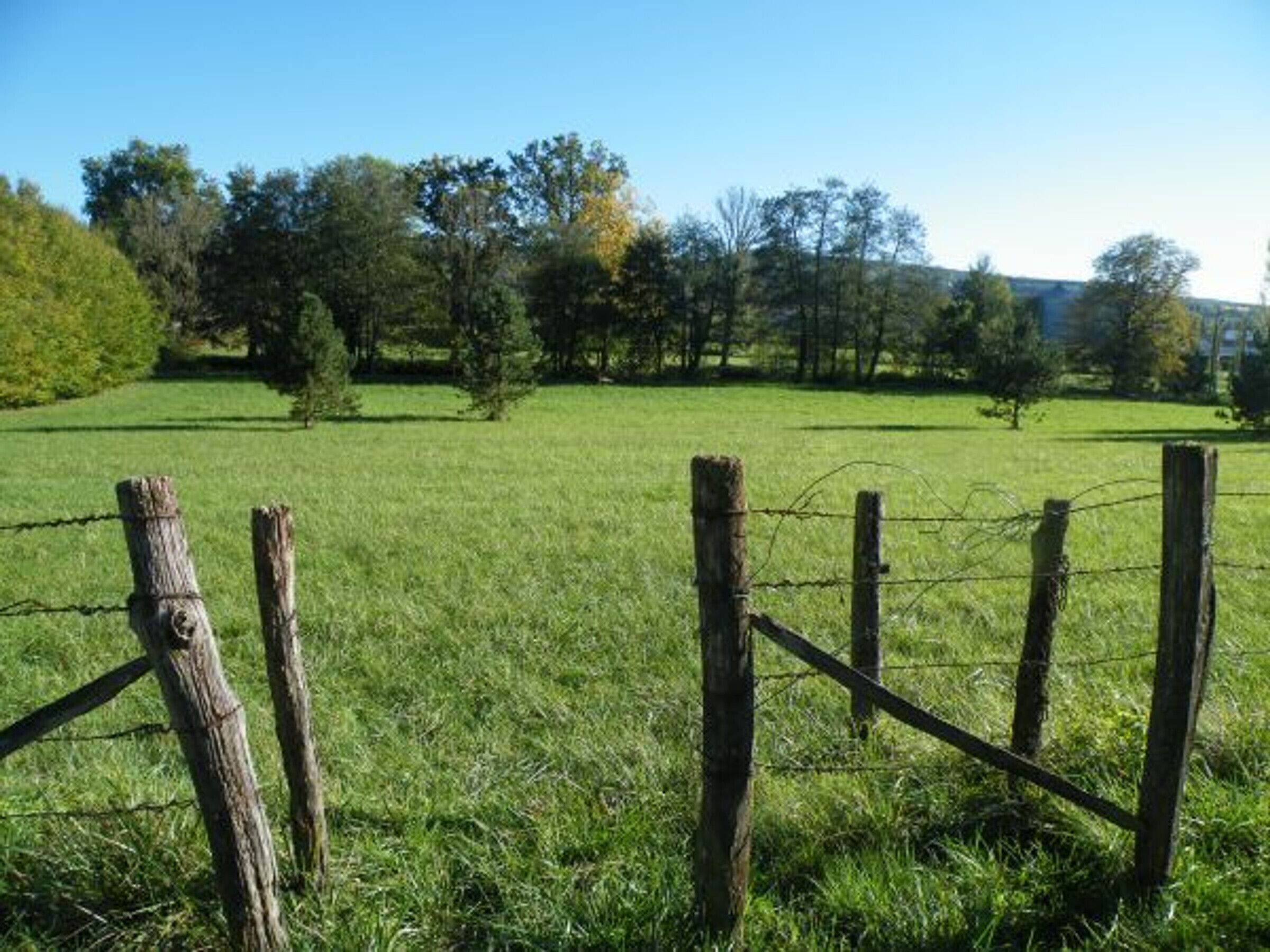 Un campo cubierto de hierba con una cerca de madera y árboles al fondo.