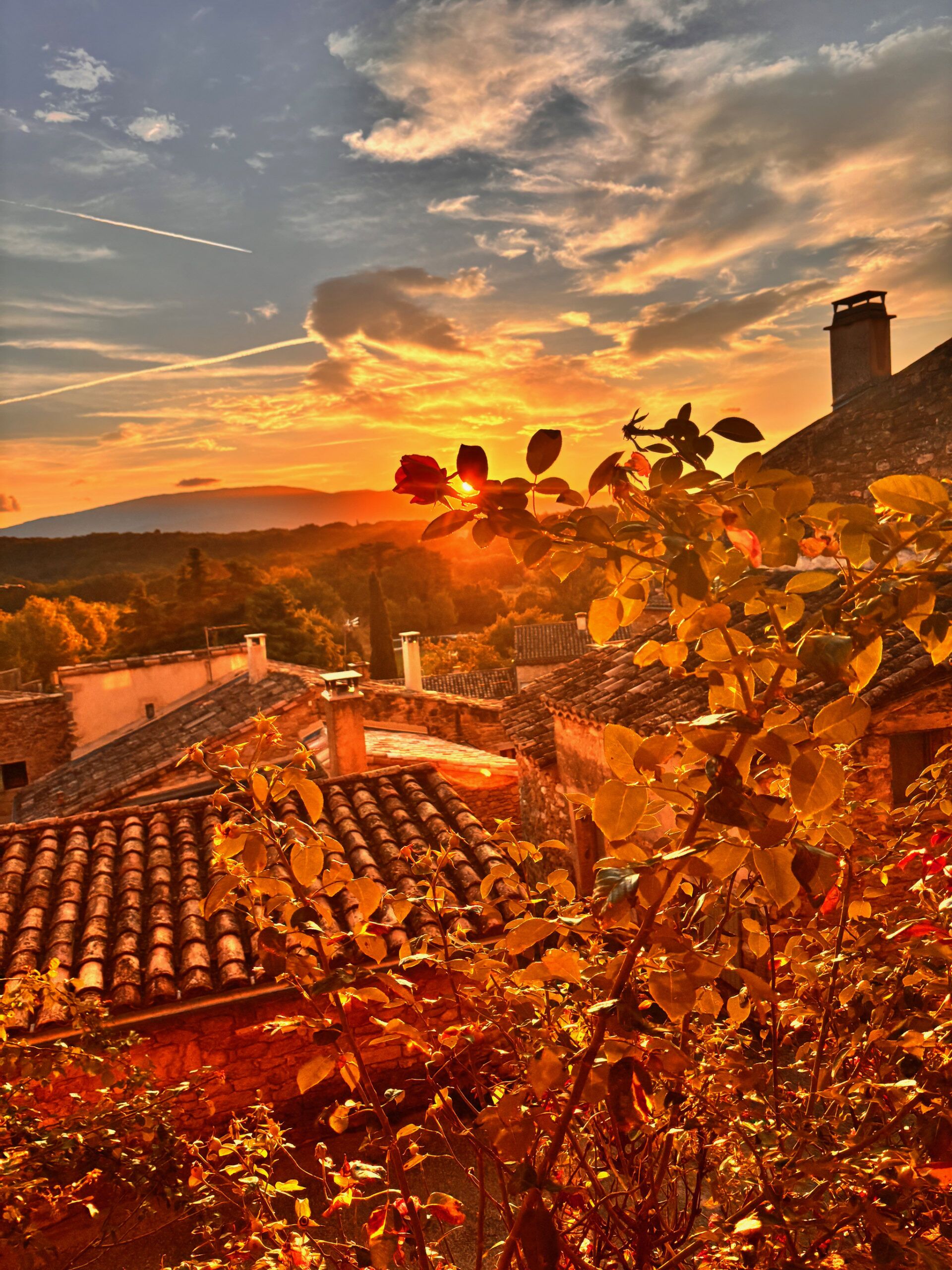 A rooftop garden with a view of traditional buildings and a sunset.