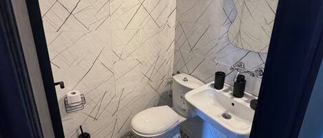 Hair dryer, towels, soap, toilet paper