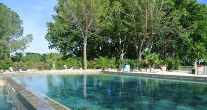 Grand Tamaris Hosting