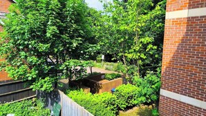 Un patio con muro de ladrillo, cerca de madera y árboles verdes y frondosos.