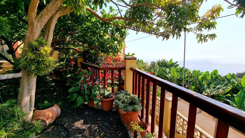 Los Nacientes Cordero in the northeast of La Palma