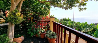 Los Nacientes Cordero in the northeast of La Palma