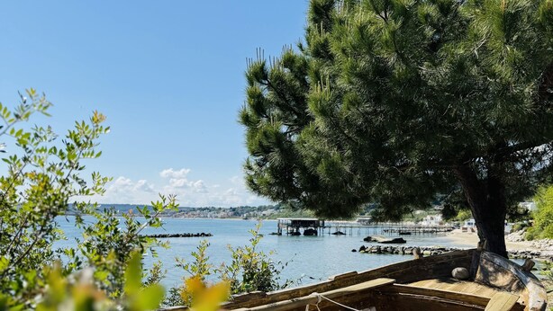 A wooden boat docked near a tree by a calm body of water with a pier in the background. - Casa DeDa Charme - Luxury Design on the Trabocchi Coast (Fossacesia)