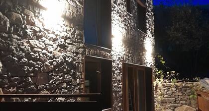 The era of somaniezo