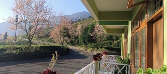 Cherry Resort