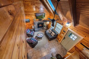 TV, fireplace, books