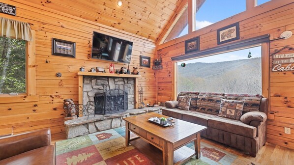 Smart TV, fireplace, video games, DVD player