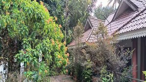 A traditional building with tiled roofs and a garden pathway.
