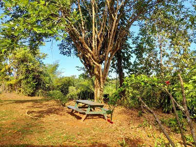 CARBETS in the Guiana forest