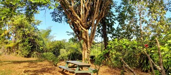 CARBETS in the Guiana forest