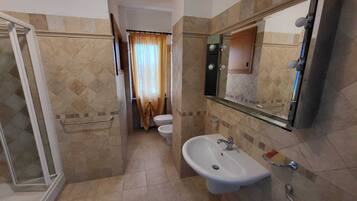 Shower, hair dryer, bidet, towels