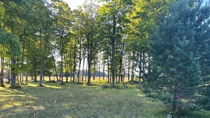 Un paisaje natural con diversos árboles y un campo cubierto de hierba.