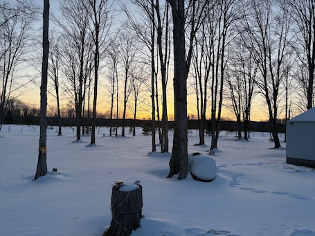 Property grounds. Welcoming rv sites in heart of the UP up to 30 amps with hookups