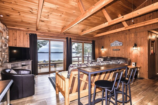 Smart TV, fireplace, books