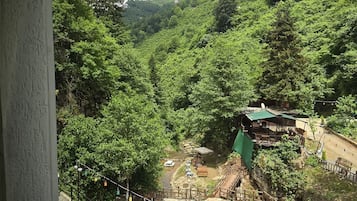 Vista desde la habitación