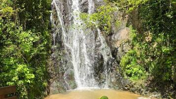 4 bedrooms, Egyptian cotton sheets, premium bedding, Tempur-Pedic beds