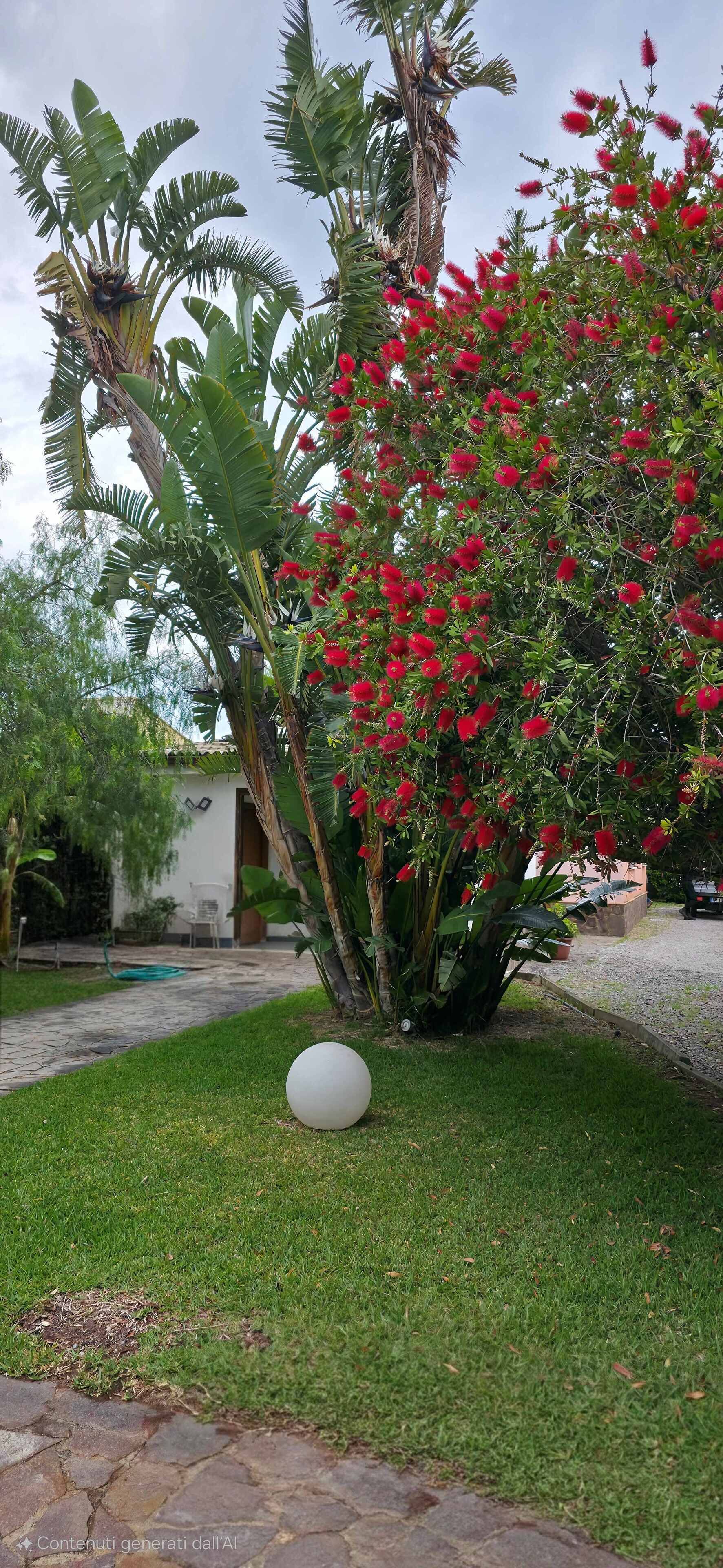 Parco della struttura