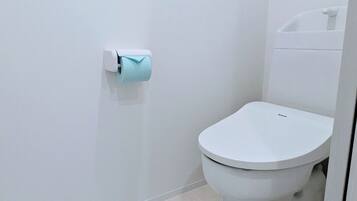 Hair dryer, towels, soap, toilet paper