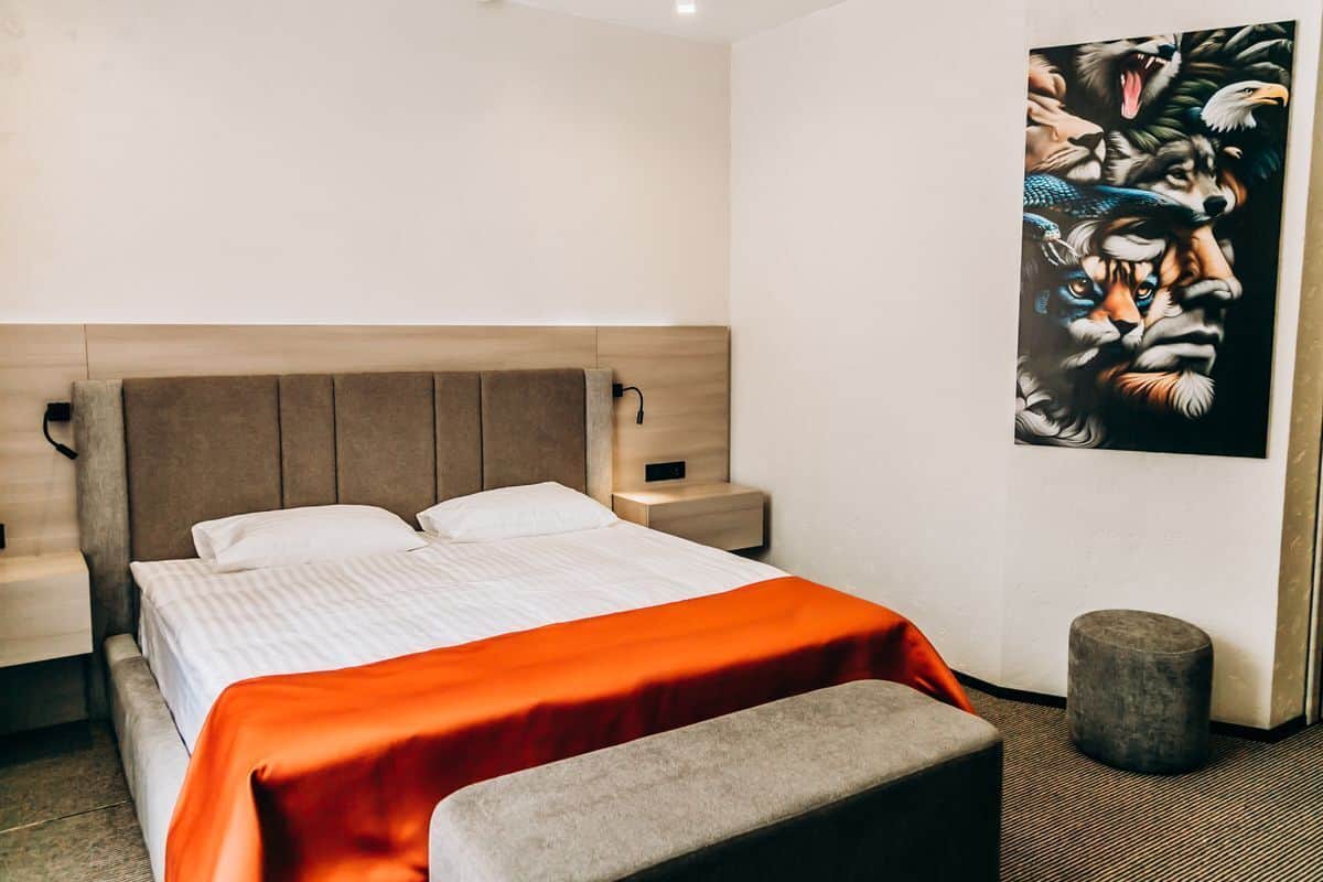 Habitación doble estándar | Minibar, caja de seguridad en la habitación y wifi gratis
