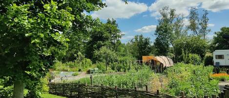 House | Garden