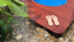 A small outdoor swimming pool with a wooden deck, surrounded by greenery and a wooden fence.