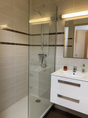 Shower, hair dryer, soap, toilet paper