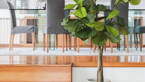 Une plante en pot, posée sur un support en bois, dans une pièce moderne avec un coin repas en arrière-plan.