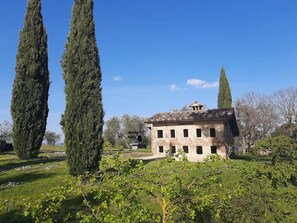 House - New Historic Tuscany Country House Retreat in a Vineyard Near Siena Villa Chiantissimo (Castelnuovo Berardenga)