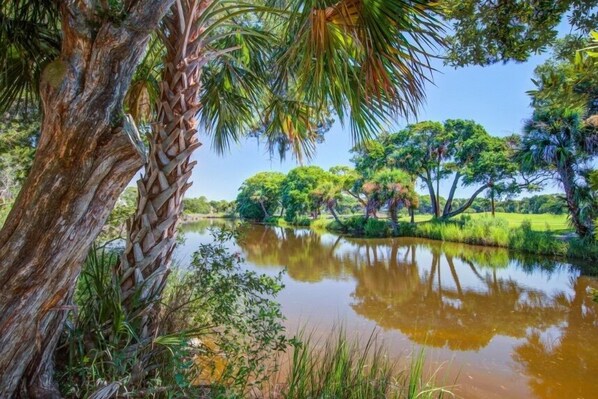 Un paisaje sereno con una masa de agua tranquila rodeada de abundante vegetación y árboles.