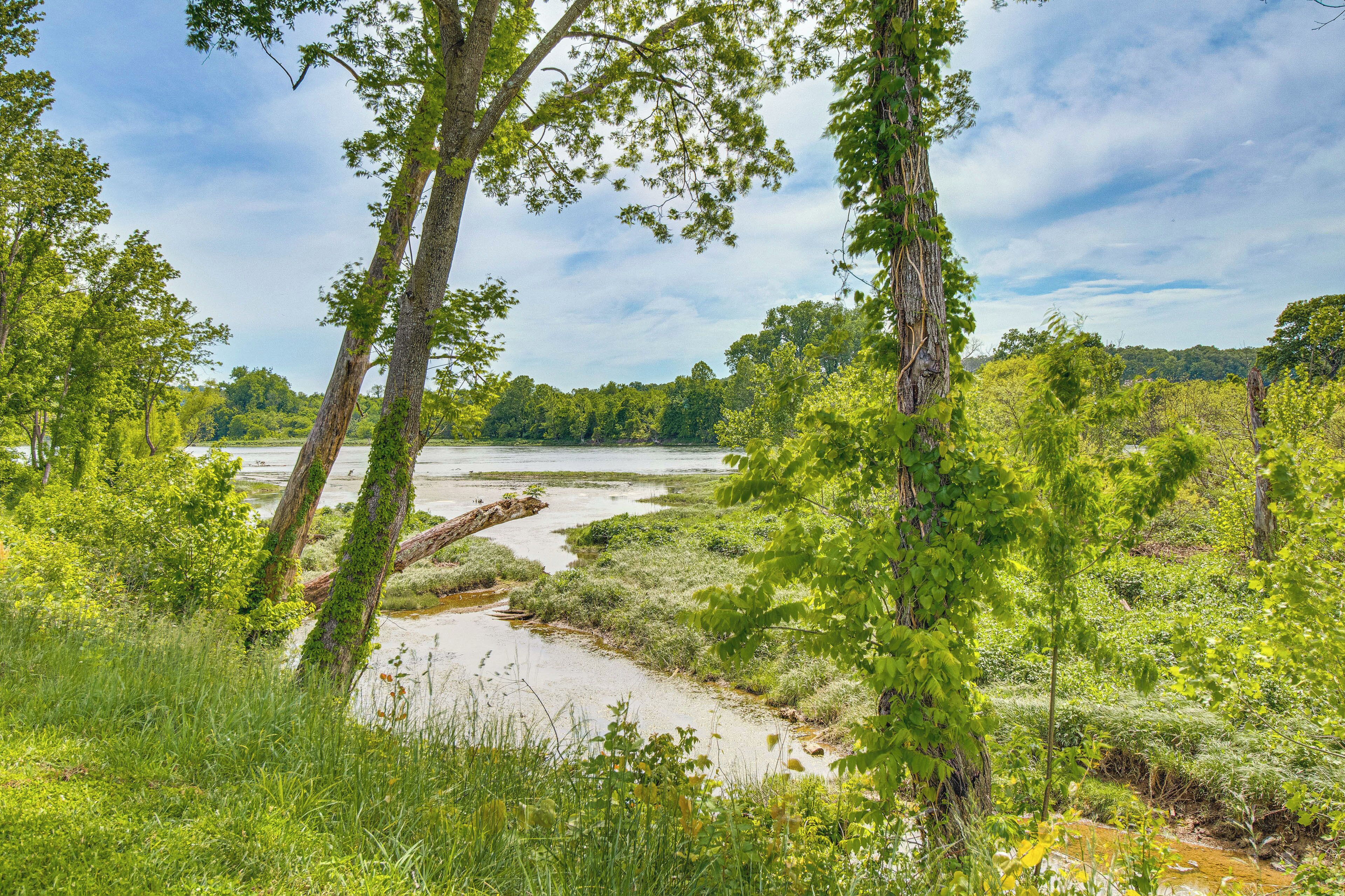 A natural landscape with a river, trees, and a clear sky.