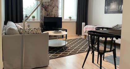 Kotimaailma KotikaksioHämeenk saunalla