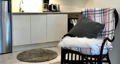 Kotimaailma KotikaksioHämeenk saunalla