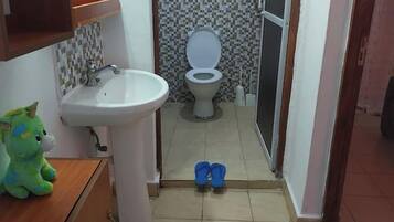 Shower, towels, soap, toilet paper