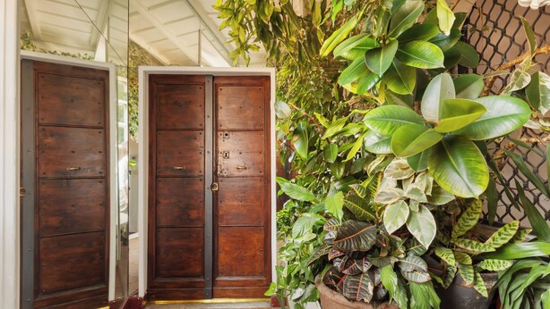 Une porte en bois avec une poignée en métal, un sol carrelé et une plante en pot aux grandes feuilles.