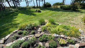 A landscaped garden with a variety of plants and a wooden deck.