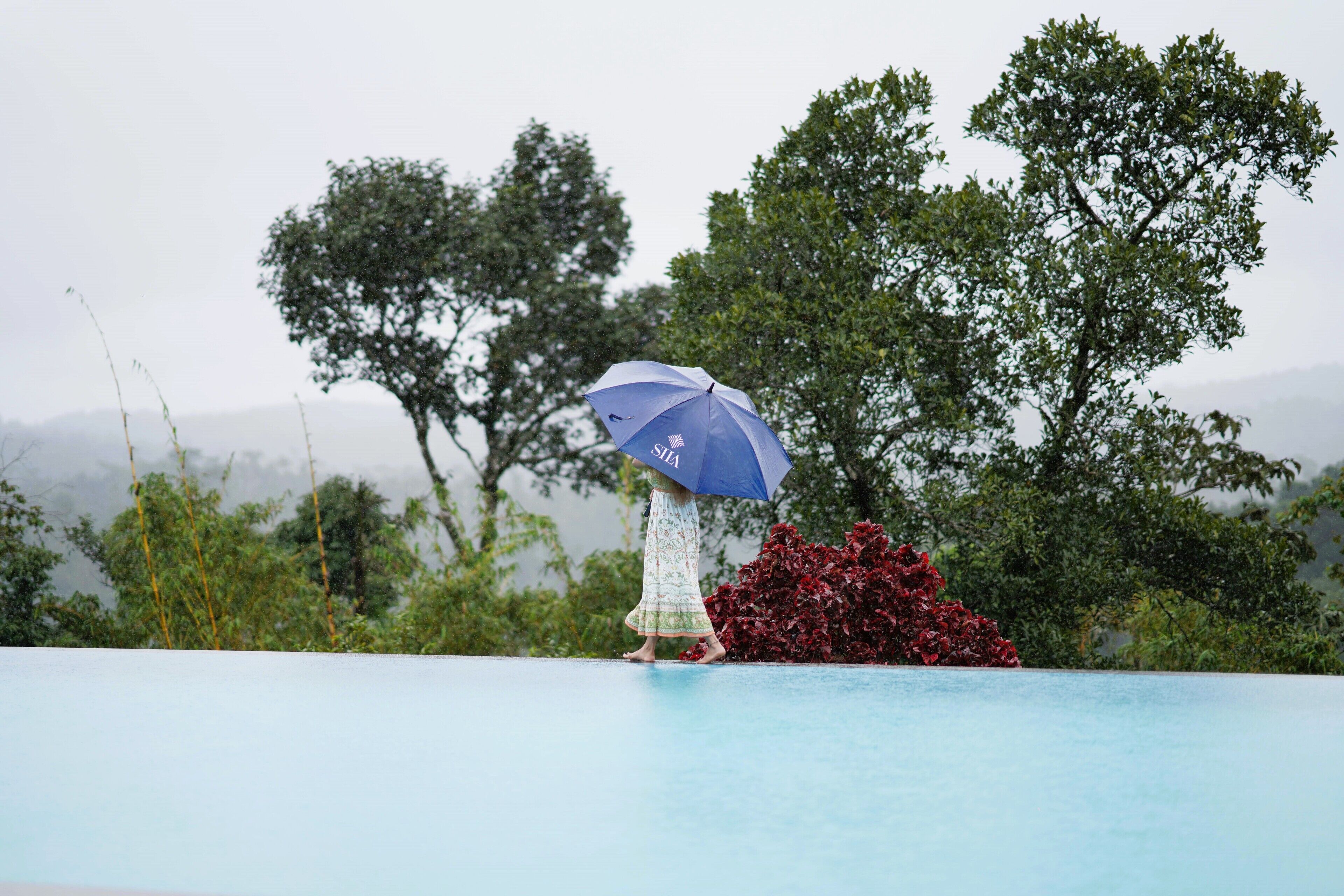 Una piscina al aire libre, sillones reclinables de piscina