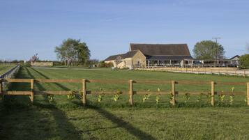 A rural landscape with a large barn, a fenced field, and a clear sky.
