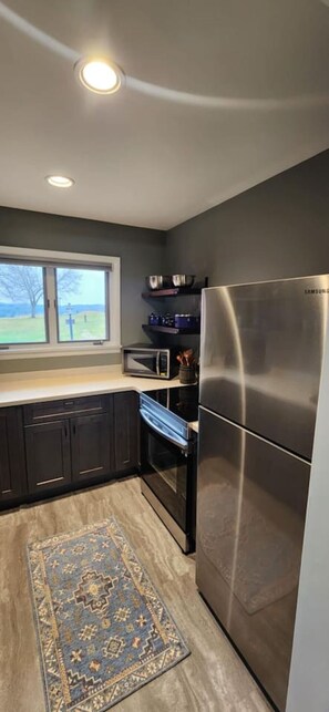 Frigorífico, microondas, horno y placa de cocina
