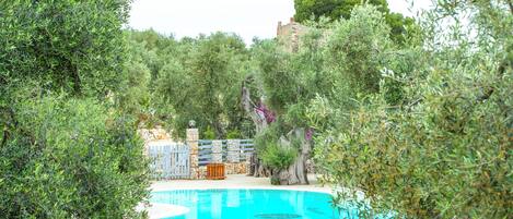 Piscine extérieure (ouverte en saison)