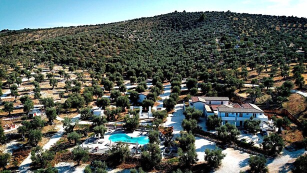 Zona residencial con una gran piscina rodeada de árboles y una ladera en el fondo.