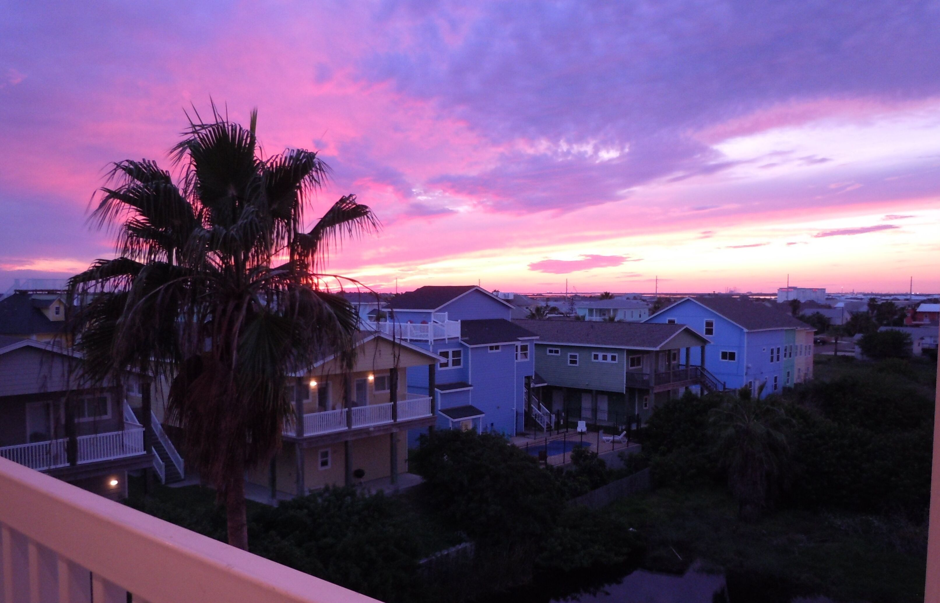 A residential area with houses and a palm tree.